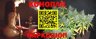 мдпв Пугачёв