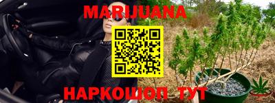 мдпв Пугачёв